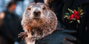 Groundhog Day 2025 Explained Will the Groundhog See Its Shadow Here’s What It Means