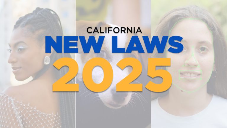 AI Protections and More Key California Laws Effective in 2025