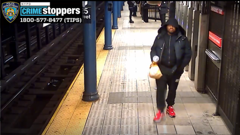 Repeat Offender Arrested for Attempted Rape in NYC Subway – Victim Saved by Bystanders