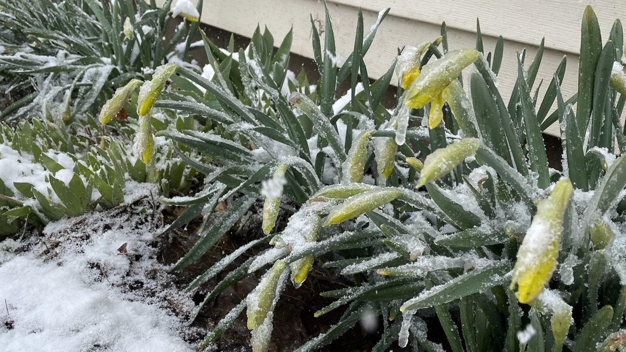 Early March Could Be “Snowiest” Part Of Winter In New York State