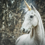 Is Unicorn Hunting Legal in Michigan? The Viral Map Explained!