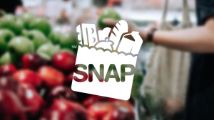 SNAP & Cash Aid in 2025: Major Changes That Could Affect Millions!