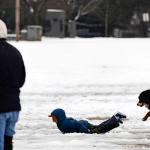 Winter Storm Alert: Snow, Sleet, and Rain Possible in Piedmont This Week!