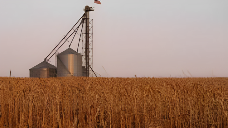 PNW Wheat Farmers Brace for Economic Impact of Trump’s Foreign Aid Freeze!