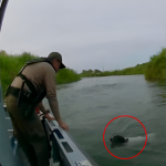 Dog in Danger! Border Patrol Officers Make Daring River Rescue in Arizona