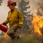 Arizona’s Wildland Firefighters May Struggle Due to Government Layoffs!