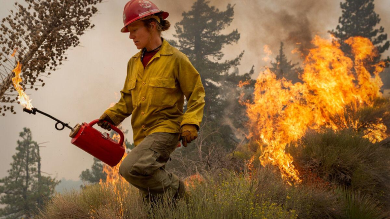 Arizona’s Wildland Firefighters May Struggle Due to Government Layoffs!