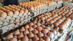 Iowa Egg Prices Surge Amidst Avian Flu Outbreak!