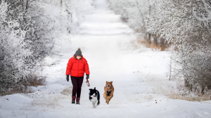 Morning Wind Chills Drop to -30 as Cold Weather Advisory Continues!