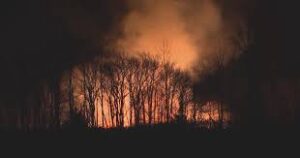 Wildfires in Mercer, Salem, and Camden Counties: A Look at the Damage and Response Efforts