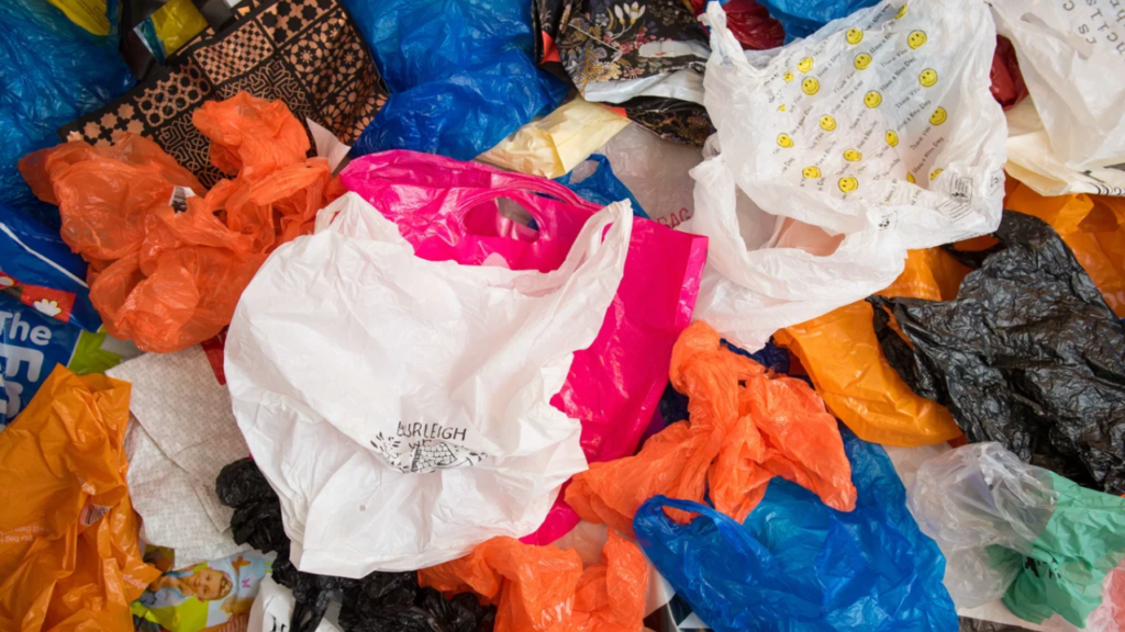 New York Bans These 10 Items From Recycling Bins—Are You Breaking the Law?