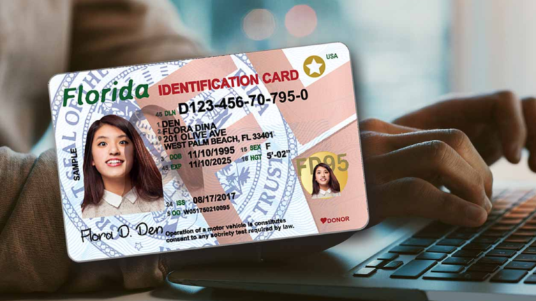 Florida DMV License Renewal 2025: What’s Changed and How to Apply?