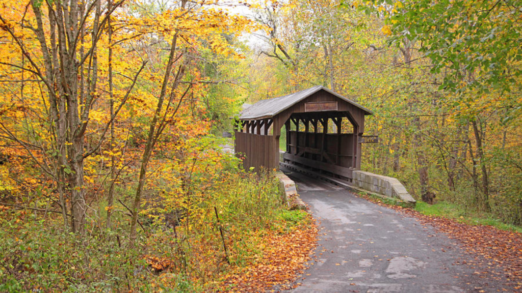 Hidden Gems: 8 Most Beautiful Places in West Virginia Revealed!