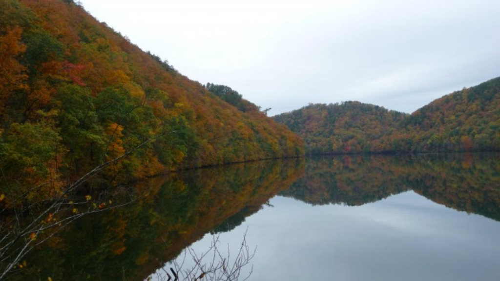 16 Best Lakes in Tennessee for a Peaceful Getaway You’ll Love