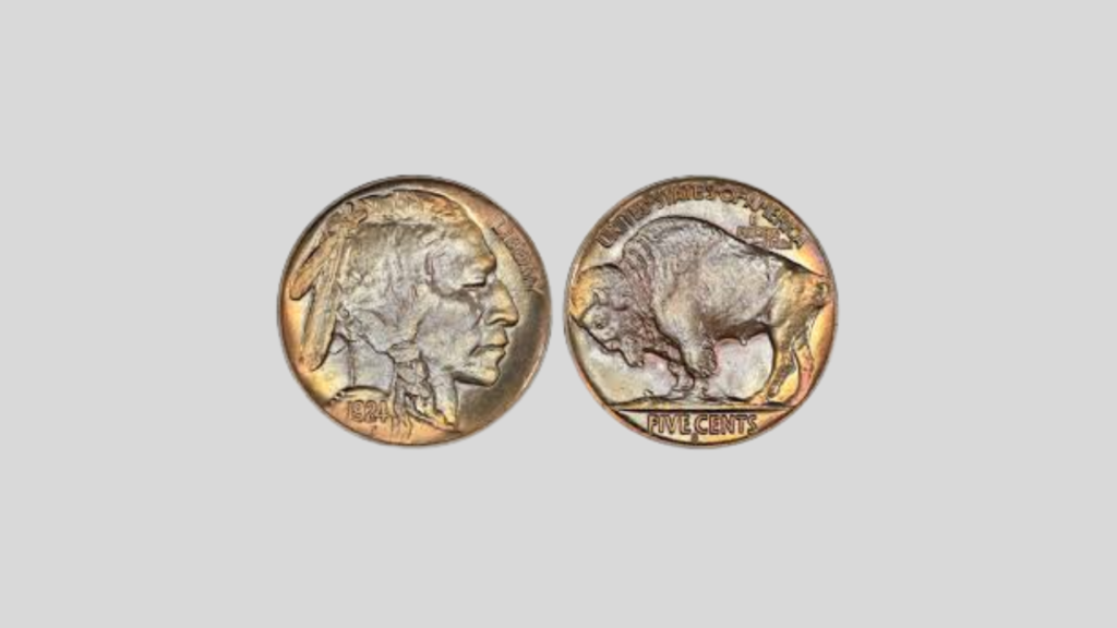 Top 20 Rarest Buffalo Nickels – How Much Are They Worth Today?