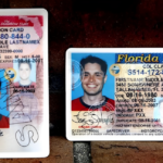 Driver’s License Renewals in Florida: Latest Requirements and Rules for Drivers