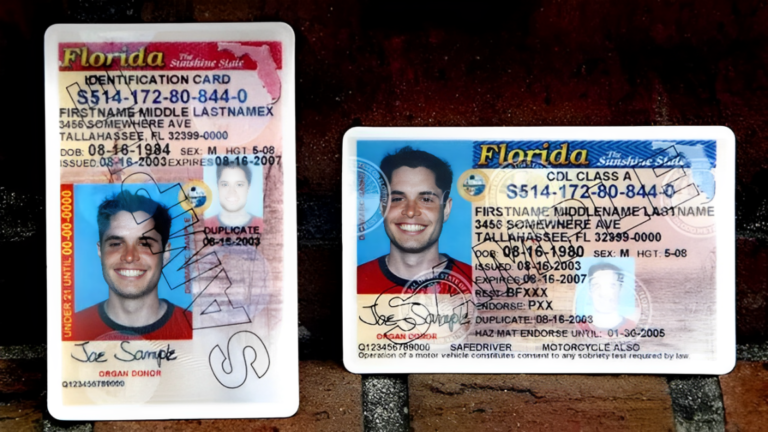 Driver’s License Renewals in Florida: Latest Requirements and Rules for Drivers