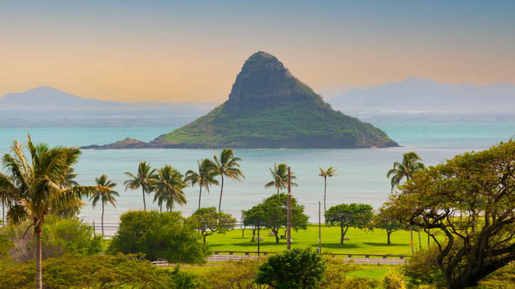 7 U.S. States with the Most Protected Natural Habitats!