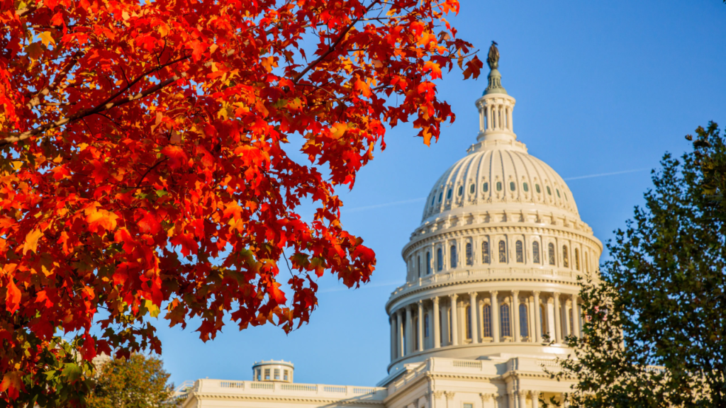 7 U.S. States with the Most Protected Natural Habitats!
