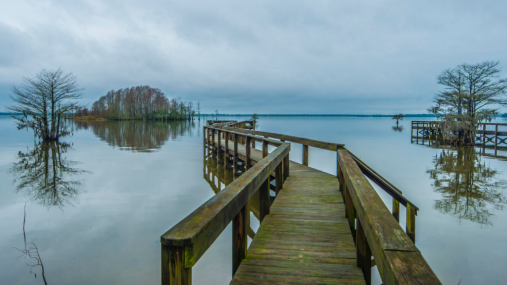 10 Must-Visit Lakes in South Carolina for a Fun and Sunny Adventure