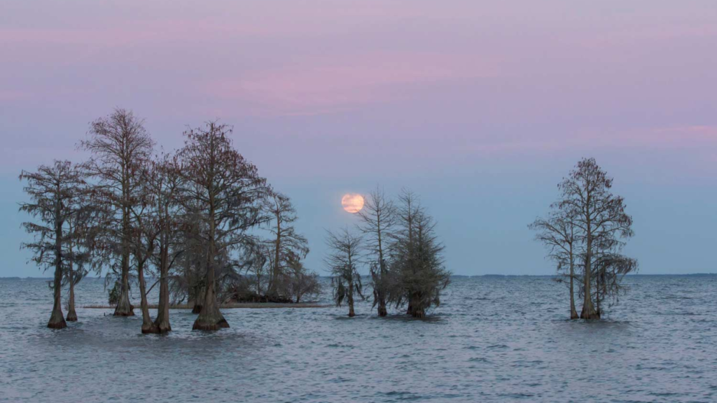 10 Must-Visit Lakes in South Carolina for a Fun and Sunny Adventure