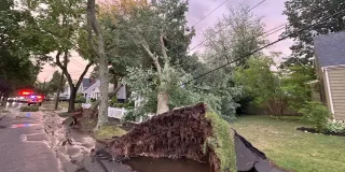 Massachusetts Hit by Strong Storms: Downed Trees, Property Damage Reported