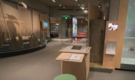 Massive Heist at Oakland Museum of California: 1,000+ Priceless Items Stolen