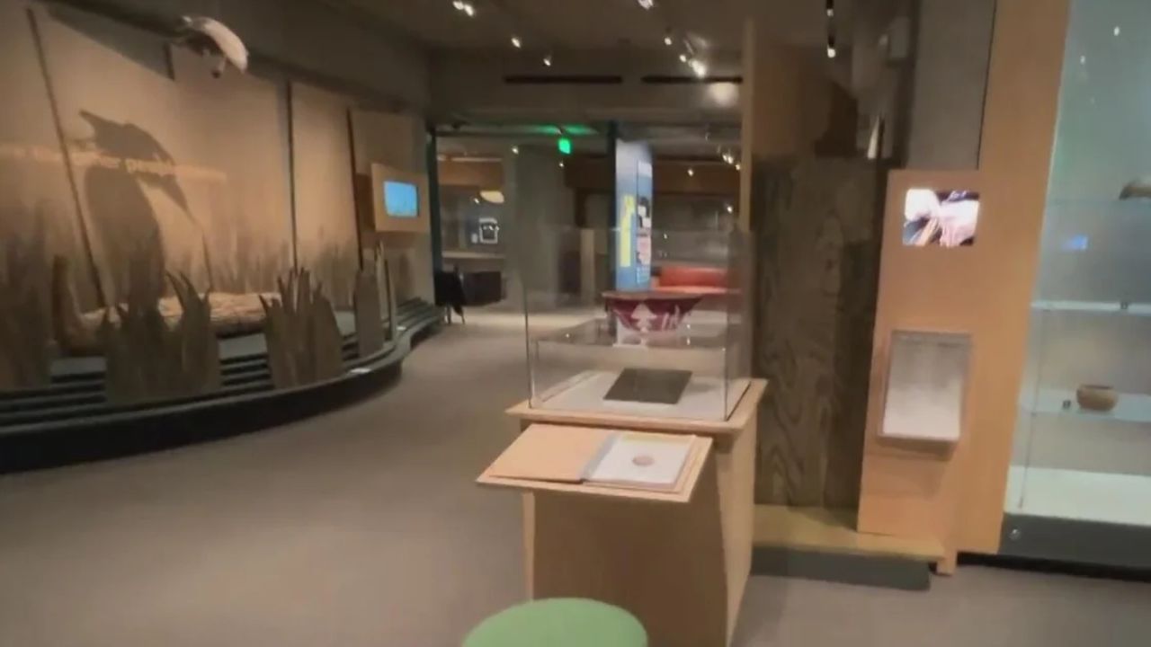 Massive Heist at Oakland Museum of California: 1,000+ Priceless Items Stolen