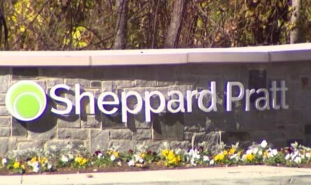 Authorities Former Nurse Charged in Patient Rape at Sheppard Pratt Hospital