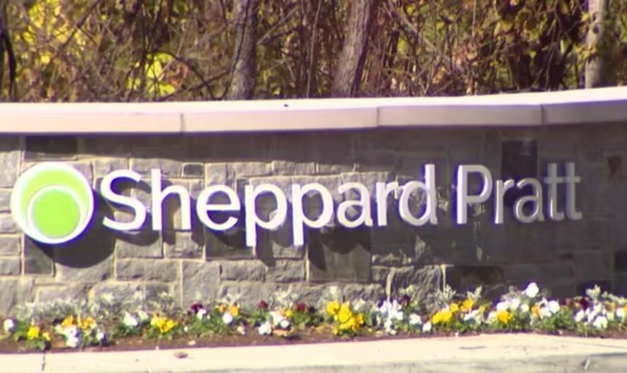 Authorities: Former Nurse Charged in Patient Rape at Sheppard Pratt Hospital
