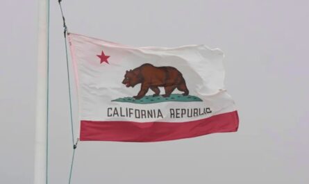 California Expands Definition of Child Caretakers Under New Law