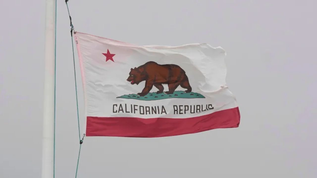 California Expands Definition of Child Caretakers Under New Law