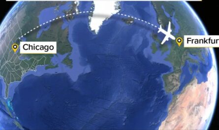 Chicago to Germany Flight Turns Violent After Passenger Allegedly Stabs Teens with Fork