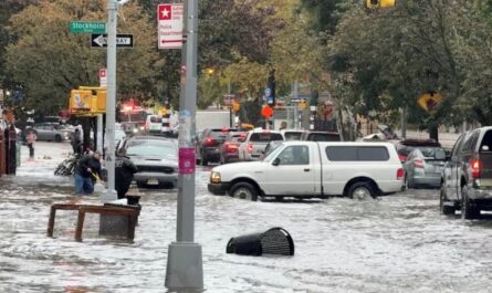 Deadly NYC Floods Claim Lives of Dog Owner and Boiler Worker Amid Record Rainfall