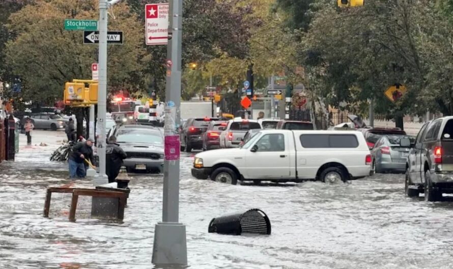 Deadly NYC Floods Claim Lives of Dog Owner and Boiler Worker Amid Record Rainfall
