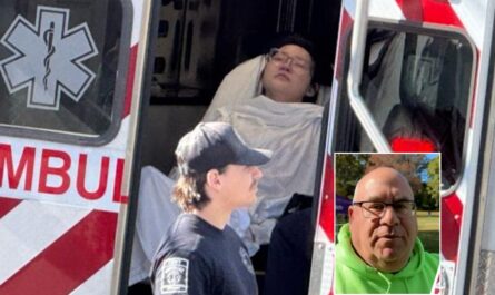 Hero Ex-Cops Rescue Woman and 5-Month-Old Baby from East River in NYC