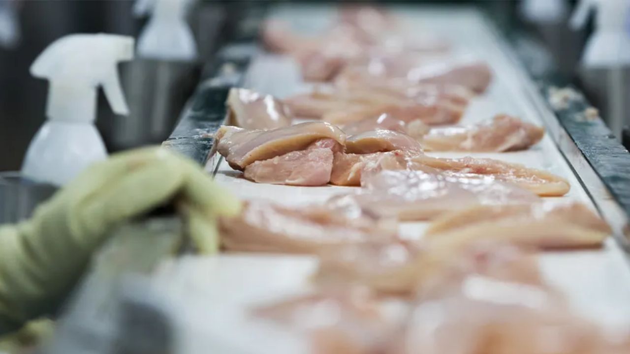 Massive Chicken Recall Metal Found in Breasts and Thighs, Officials Warn
