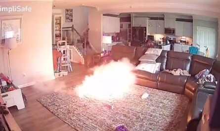 North Carolina Firefighter’s Dog Sparks Fire at Home, Caught on Security Camera