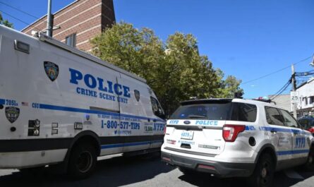 Pipe-Wielding Brute Attacks Two Women, One Teen in String of Random NYC Assaults
