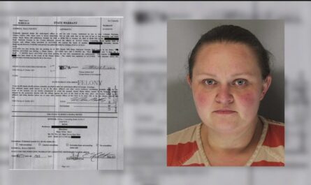 Police: Georgia Woman Had Remains of 4-Year-Old Child in Her Vehicle