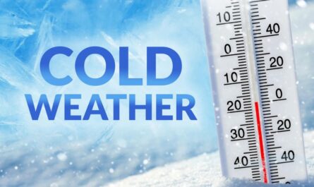 South Jersey Weather Alert Frost Advisory in Effect 2–9 AM Tuesday