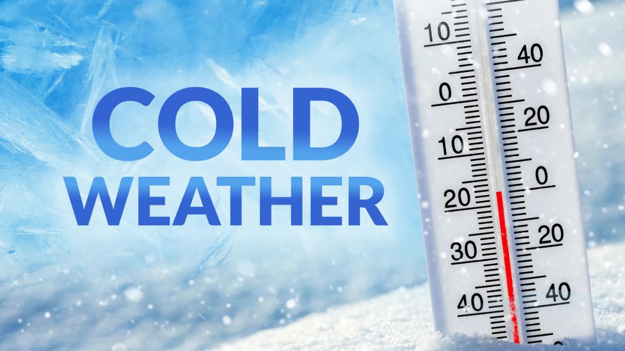 South Jersey Weather Alert Frost Advisory in Effect 2–9 AM Tuesday