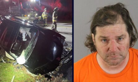 Driver Flees After Crashing Car, Leaving His 77-Year-Old Mother to Die Alone in Ditch: Police