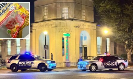 Halloween ‘Needle in Candy’ Story Turns Out to Be a Hoax by 9-Year-Old, Officials Reveal