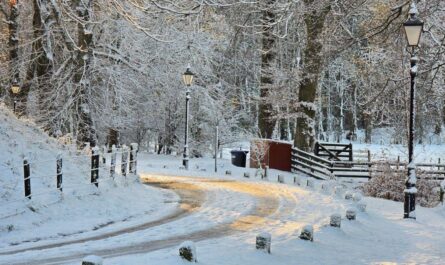 Kansas Weather Forecast Cold Weekend Ahead, Sunshine and Warmth Return Next Week