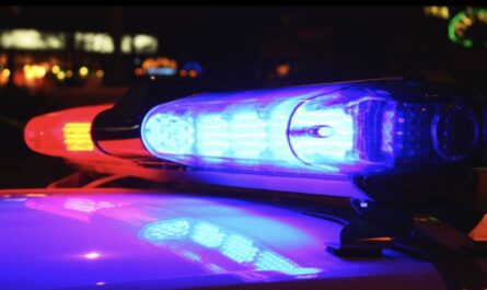 Man Accused of Stealing $37,000 in Target Merchandise Arrested After Brief Standoff