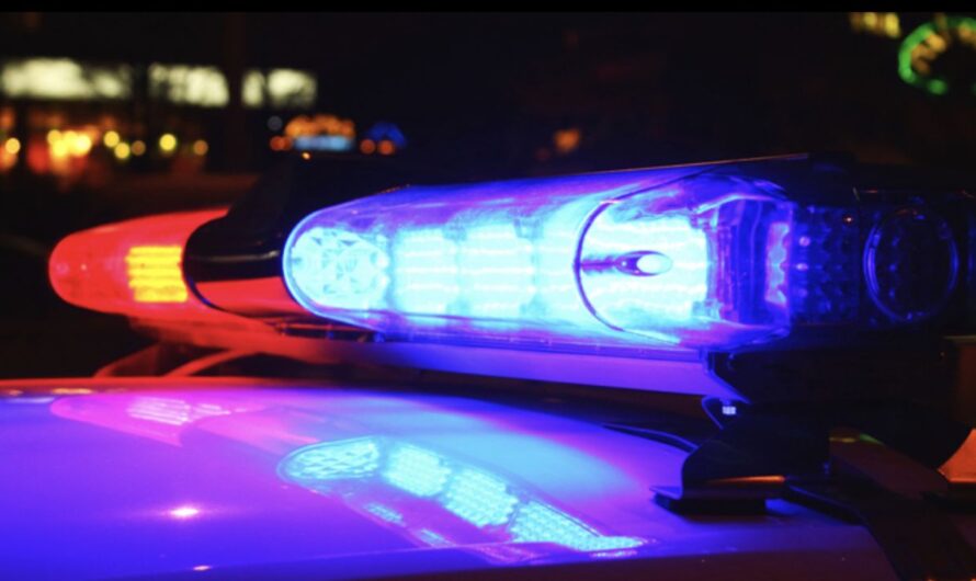 Man Accused of Stealing $37,000 in Target Merchandise Arrested After Brief Standoff