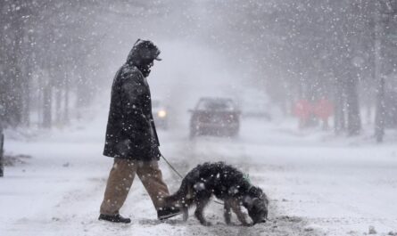 NJ Forecast: Fall Warmth Fades as Colder Air and Wintry Mix Threaten Mid-November