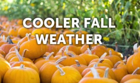 Tallahassee Weather Forecast Breezy, Cool Start to the Week Before Warmer Midweek Temperatures